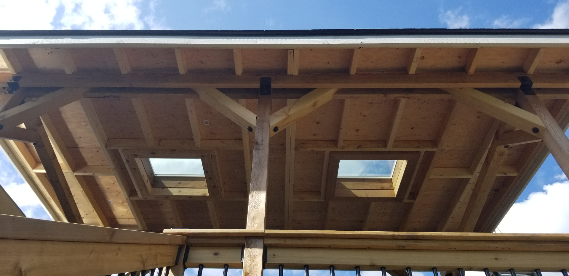 Roofing and skylight detail above the cedar deck