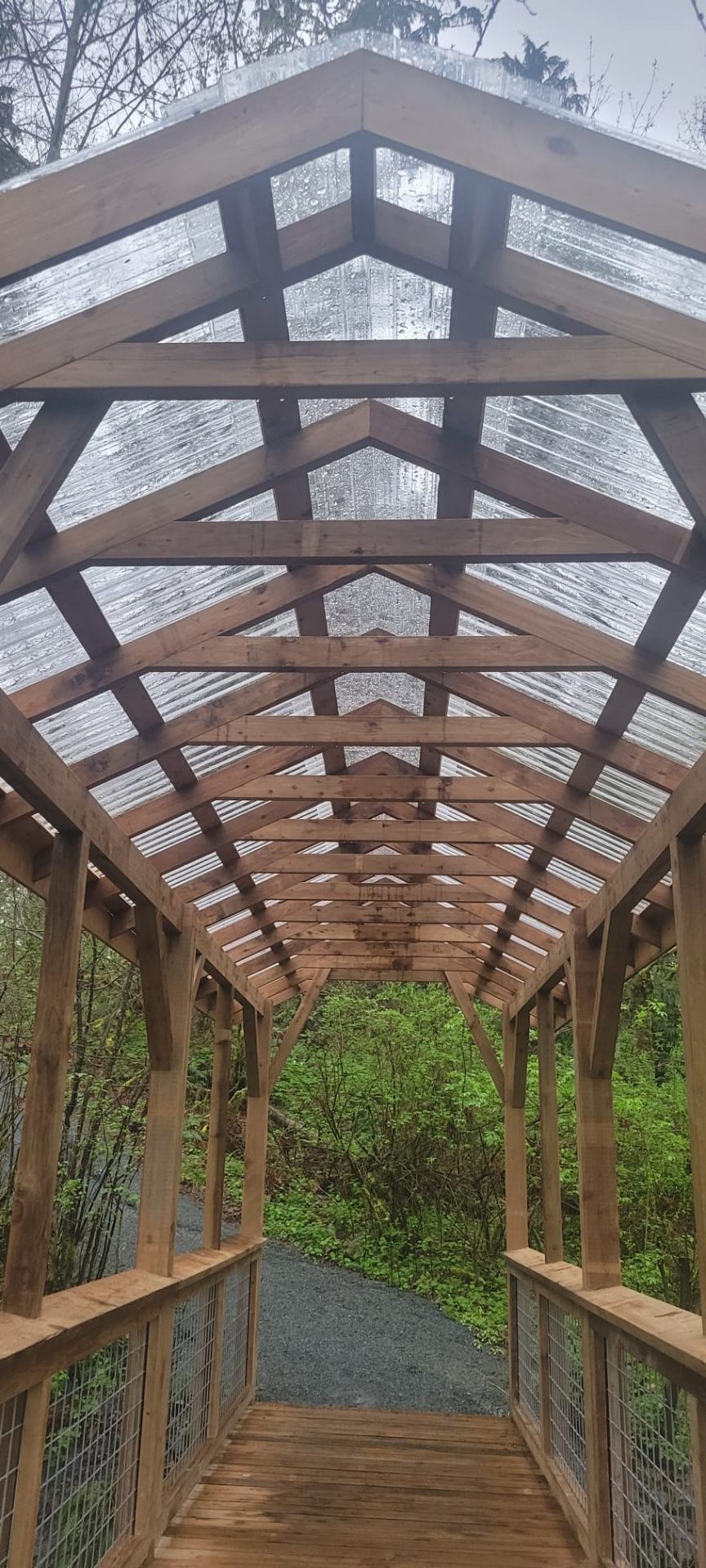 Interior view of trail bridge timber roof framing and trusses